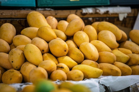 Mango Herbata Mrożona