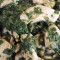 Kurczak Saag