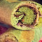 24. Falafel Veggie Wrap