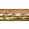 Noga Ham Subway Footlong 174;